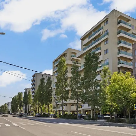 The Moonlight Nest *